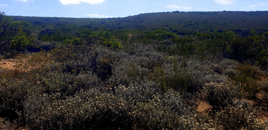 Commercial Property for Sale in Paradise Coast Western Cape